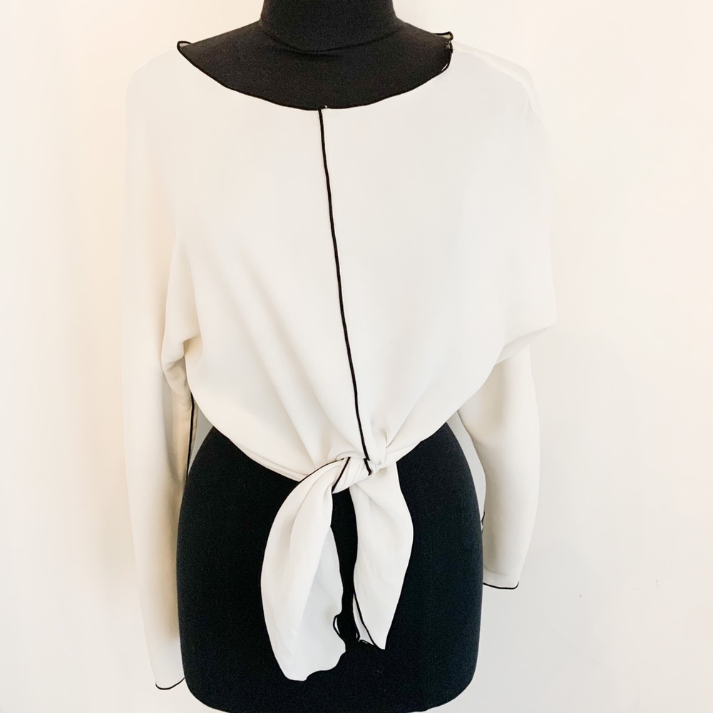 Aritzia BABATON Blouse